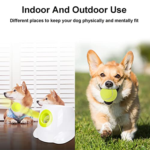 Fetch & Fun Dog Ball Launcher